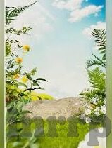 果冻传媒网站进入入口-探索果冻传媒网站，创意与娱乐的交汇点