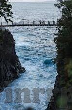 日本一区二区三本视频-探索日本成人内容行业的多元视角，一区二区三本视频的背后
