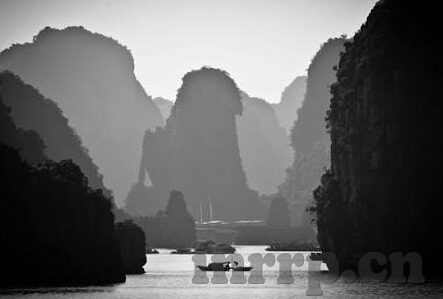 糖心vlog官网首页入口-糖心vlog，解锁视频生活新章的门户
