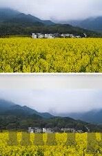 中文字幕第一区-探索中文字幕在影视文化中的独特魅力